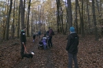Waldweg 3