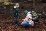 Eibenschutz 2