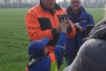Aktion-Steinkauz-14-10x13s
