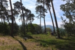 Bickenbacher Düne 08
