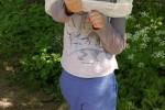 Imkerstand Etzwiesen 5