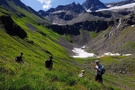 08 Pass zur Niederelbehütte 2