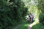 Schafweide 2