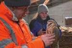 Willi Fuch mit Schleiereule 1
