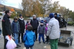 Füchse beim Eibenschutz 02
