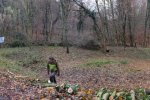 Sägearbeiten-06-10x30s