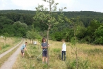 NABU Kirschgarten Mäheinsatz 08