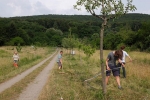 NABU Kirschgarten Mäheinsatz 09