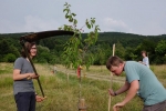 NABU Kirschgarten Mäheinsatz 10