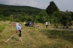 NABU Kirschgarten Mäheinsatz 13