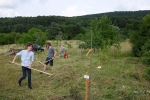NABU Kirschgarten Mäheinsatz 03