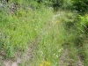 Weg