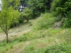 Wiese 2