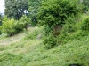 Wiese 3