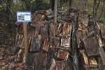 Hirschkäferburg Wühlmausgarten 1