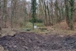 Aktion-Schöntalteich-01_-10x29s