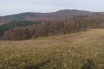Amphibienzaun-Ober-Beerbach-10-10x51s