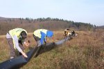 Amphibienzaun-Ober-Beerbach-15-10x13s