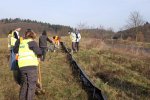 Amphibienzaun-Ober-Beerbach-19-10x13s