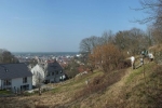 Weinberg-Mauerbau 04