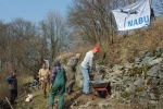Weinberg-Mauerbau 11