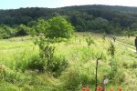 Einsatz-Kirschgarten-04-10x27s