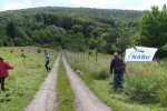 Einsatz-Kirschgarten-07-10x31s