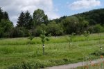 Einsatz-Kirschgarten-20-10x33s