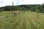 Einsatz-Kirschgarten-26-10x29s