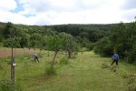 Einsatz-Kirschgarten-28-10x15s