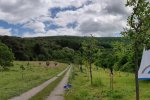 Einsatz-Kirschgarten-47-10x24s