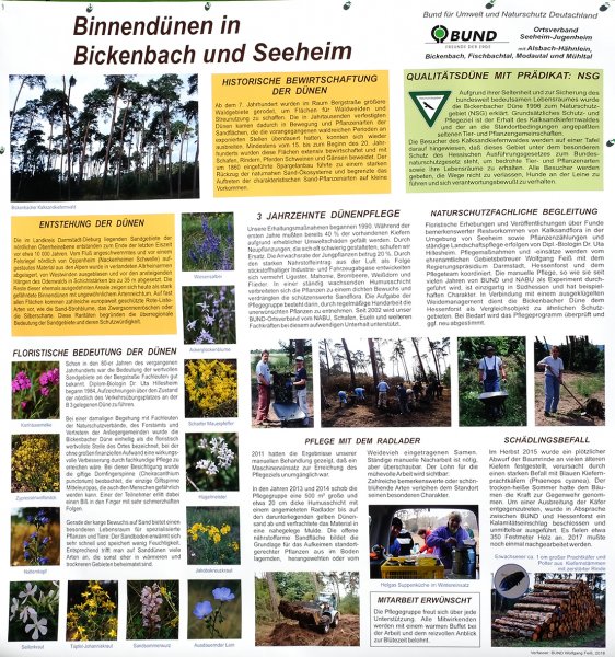 BUND Plakat zur Bickenbacher Düne 10x11