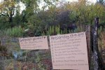 Aktionstag-Wühlmausgarten-Aufgabenverteilung-Plakate-10x15s