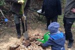 Aktionstag-Wühlmausgarten-Hirschkäferwiege-anlegen-14-Foto-Rita-Koch-10x13s