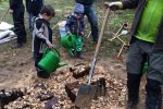 Aktionstag-Wühlmausgarten-Hirschkäferwiege-anlegen-15-Foto-Rita-Koch-10x13s
