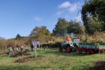 Aktionstag-Wühlmausgarten-Naturzaun-erhöhen-06-10x15s