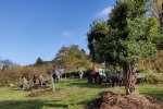 Aktionstag-Wühlmausgarten-Naturzaun-erhöhen-07-10x15s