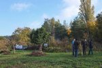 Aktionstag-Wühlmausgarten-Obstbaumscheiben-anlegen-02-10x15s
