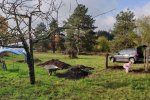 Aktionstag-Wühlmausgarten-Obstbaumscheiben-anlegen-07-10x21s