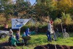 Aktionstag-Wühlmausgarten-Obstbaumscheiben-anlegen-10-10x11s