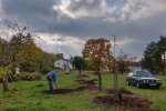 Aktionstag-Wühlmausgarten-Obstbaumscheiben-anlegen-18-10x13s