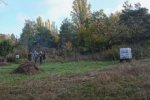 Aktionstag-Wühlmausgarten-Wiesenmahd-Bienenweide-09-10x52s