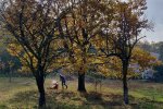 Aktionstag-Wühlmausgarten-Wiesenmahd-Bienenweide-11-10x12s