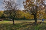 Aktionstag-Wühlmausgarten-Wiesenmahd-Bienenweide-12-10x25s