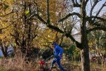 Aktionstag-Wühlmausgarten-Wiesenmahd-Bienenweide-13-10x10s