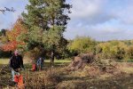 Aktionstag-Wühlmausgarten-Wiesenmahd-Bienenweide-15-10x11s