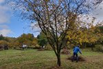 Aktionstag-Wühlmausgarten-Wiesenmahd-Bienenweide-17-10x13s