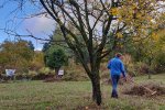 Aktionstag-Wühlmausgarten-Wiesenmahd-Bienenweide-18-10x13s