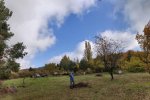 Aktionstag-Wühlmausgarten-Wiesenmahd-Bienenweide-22-10x21s