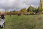 Aktionstag-Wühlmausgarten-Wiesenmahd-Bienenweide-24-10x27s